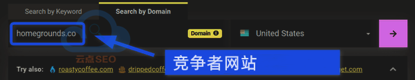 輸入競爭者網(wǎng)站